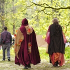 Elfia Haarzuilens 03