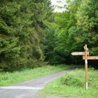 La răscruce de păduri