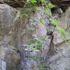 Mure verticale