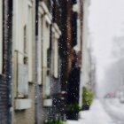 Iarna în Amsterdam 03