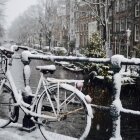 Iarna în Amsterdam 09