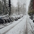 Iarna în Amsterdam 11