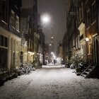 Iarna în Amsterdam 17