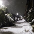 Iarna în Amsterdam 29