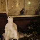Iarna în Amsterdam 28