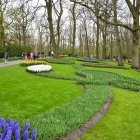 Keukenhof 4