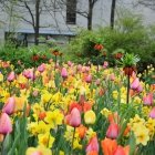 Keukenhof 8