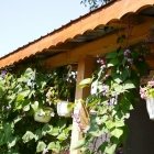 August în România 06