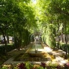 Palma 15