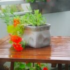 Amintiri de primăvară 04