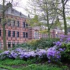 Amintiri de primăvară 15