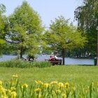 Amintiri de primăvară 16