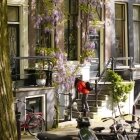 Amintiri de primăvară 26