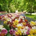 Amintiri de primăvară 28