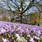 Amintiri de primăvară 02