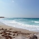 Amintiri de primăvară 06