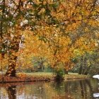 Toamna în Amsterdam 04