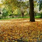 Toamna în Amsterdam 05