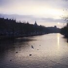 Toamna în Amsterdam 12