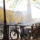 Toamna în Amsterdam 14