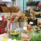 Toamna în Amsterdam 17