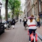 Ziua Iei și Sânzienele 14