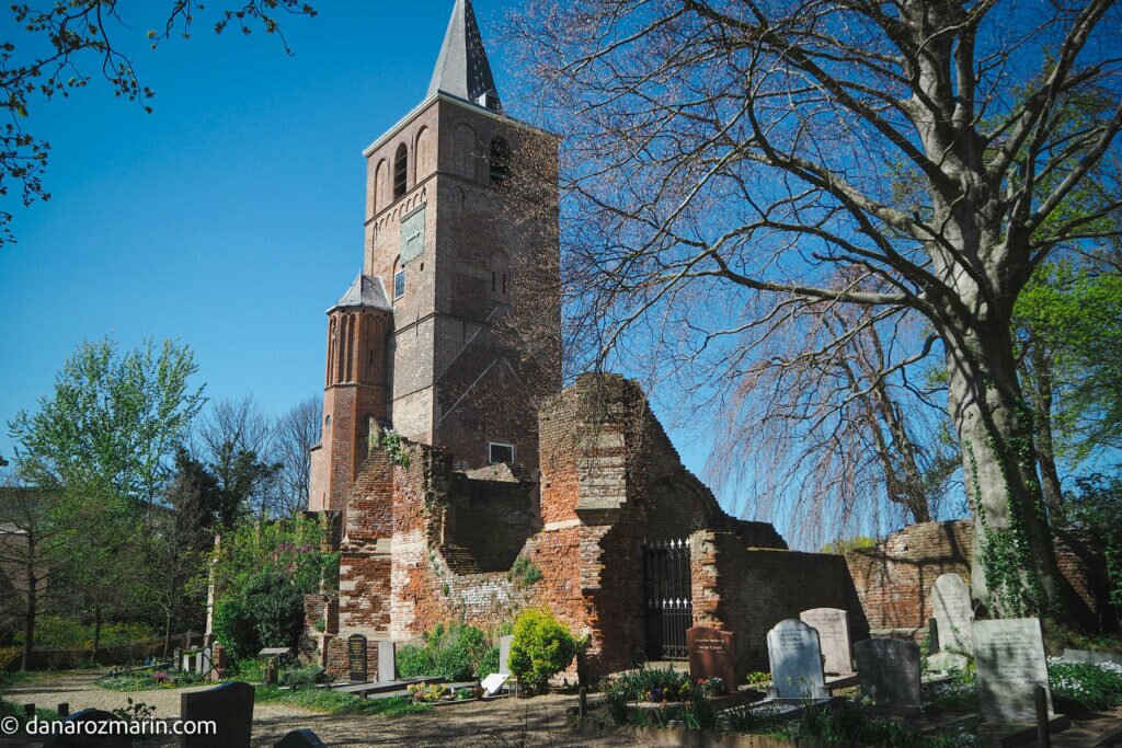 Ruinele bisericii și vechiul turn