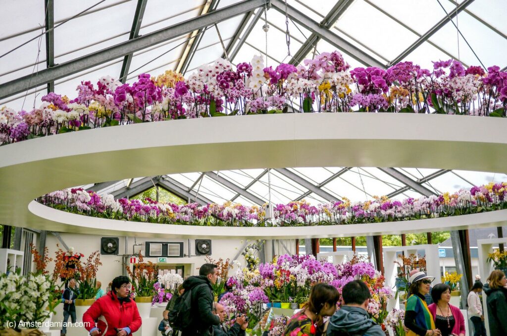 Pavilionul de orhidee la Keukenhof
