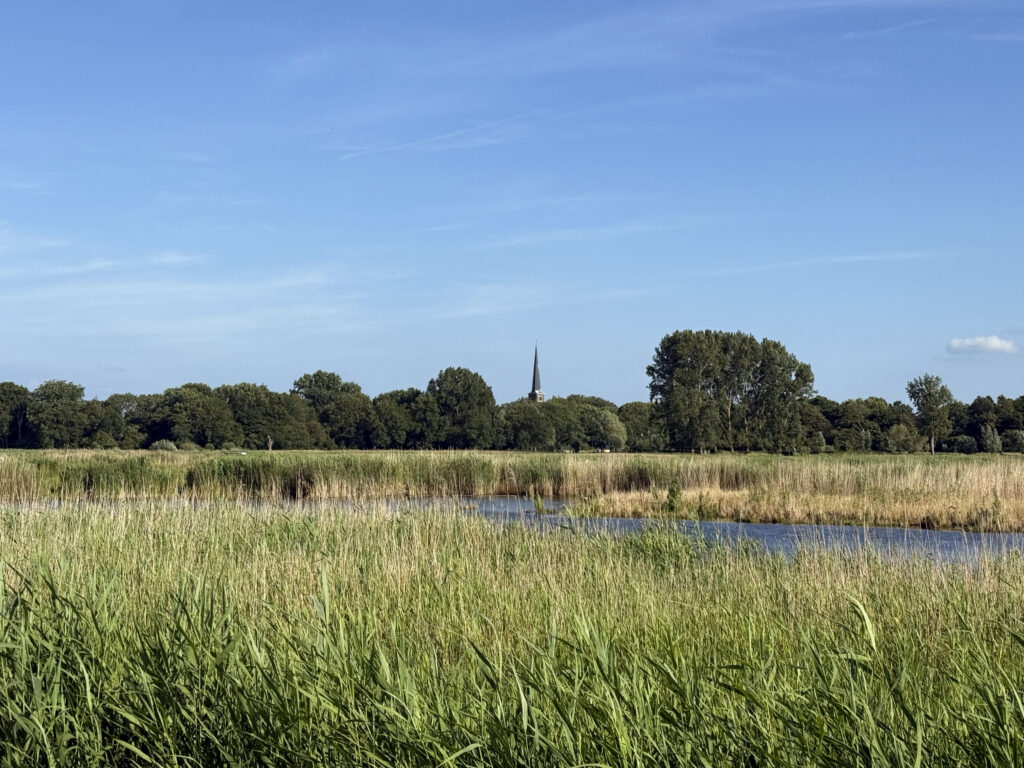 Rezervatia de pasari Alkmaar