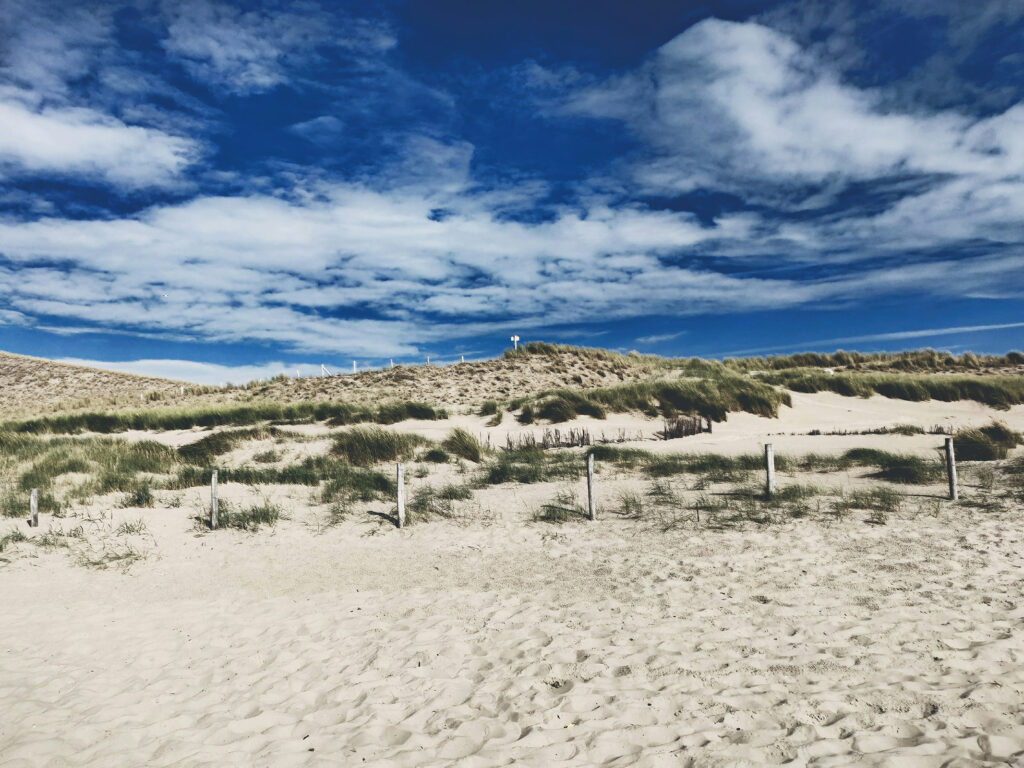 Petten