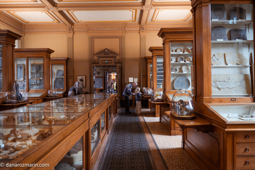 Muzeul Teylers Haarlem 01