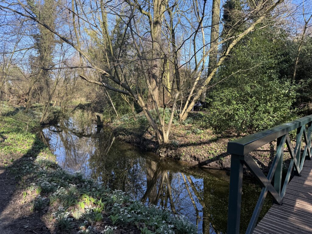 Pod în Parcul Frankendael