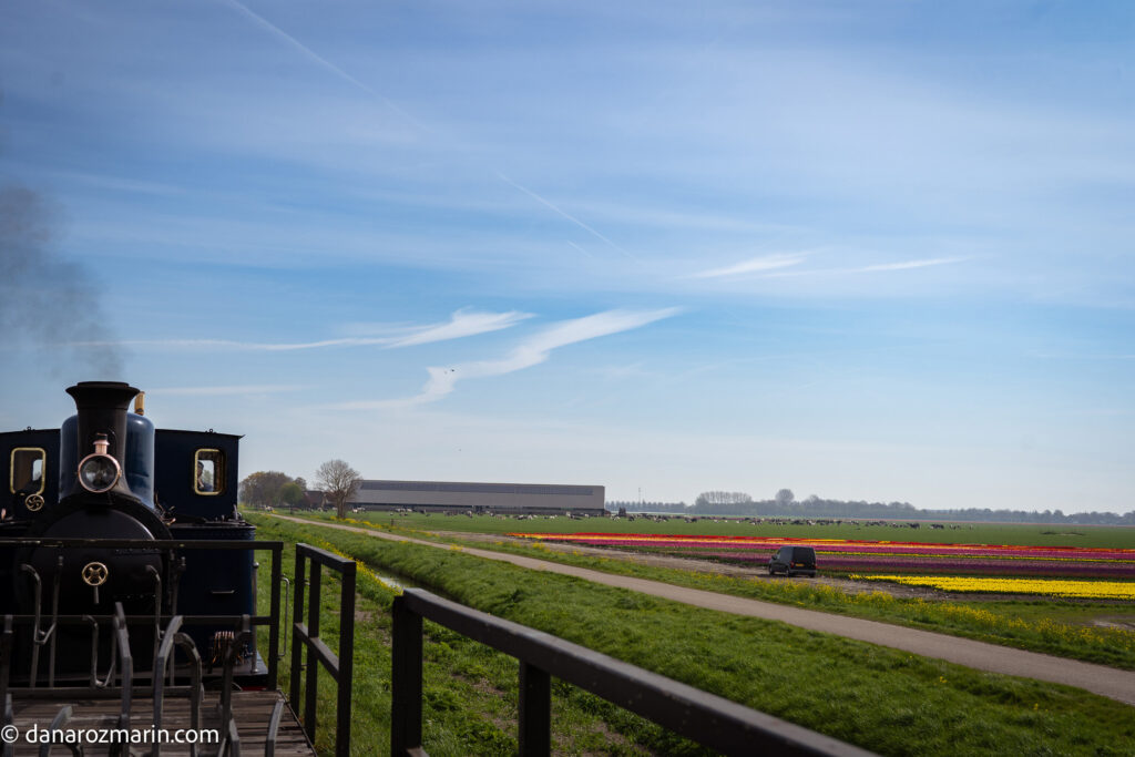 Cu trenul pe campurile de lalele