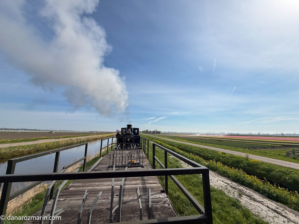 Cu trenul pe campurile de lalele 01