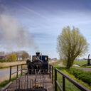 Cu trenul pe câmpurile de lalele