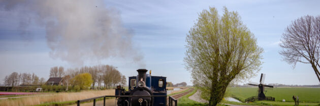 Cu trenul pe câmpurile de lalele
