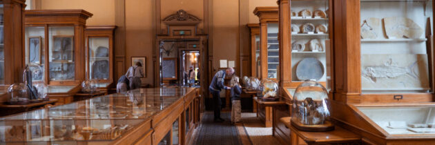 O vizită neplanificată la cel mai vechi muzeu din Olanda: Muzeul Teylers din Haarlem