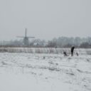Magia iernii în Olanda