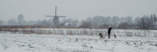 Magia iernii în Olanda